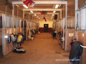 boy-kidnapped-and-tortured-in-horse-stable_kuwait